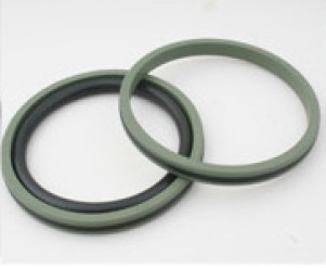 Piston seals X shape (DAQ)